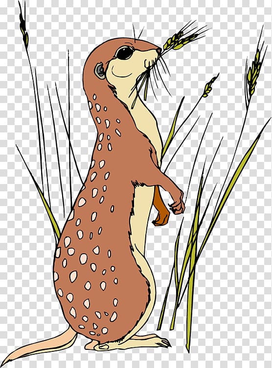 Meerkat Animation , Meerkat transparent background PNG clipart