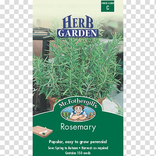 Rosemary Herb Coriander Seed Thyme, herb garden transparent background PNG clipart
