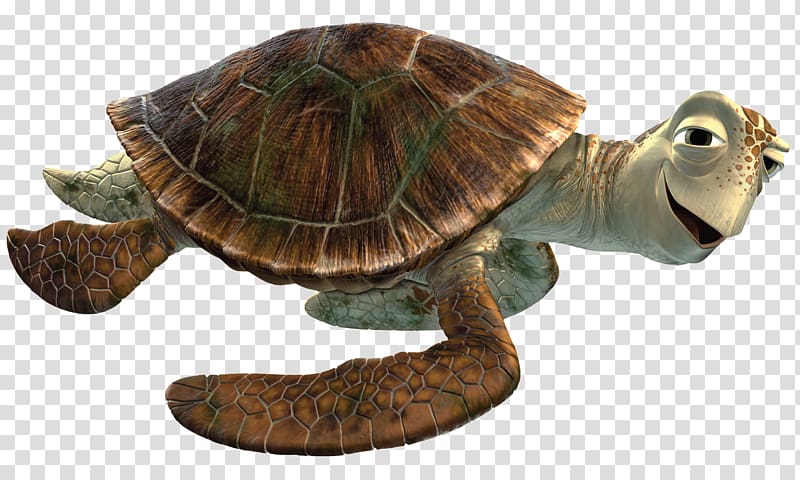 turtle cartoon character illustration, Crush Close Up transparent background PNG clipart
