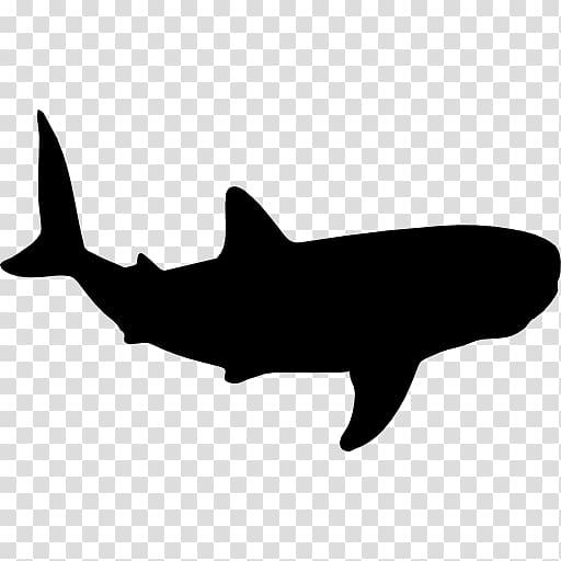 Whale shark Cetacea , shark transparent background PNG clipart