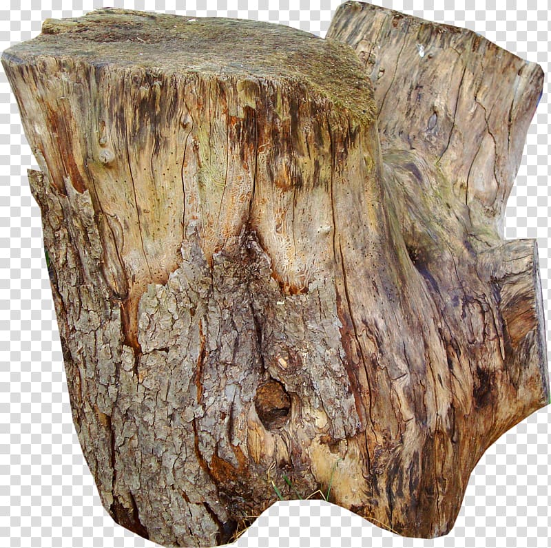 Table Trunk Tree stump Wood, stump transparent background PNG clipart