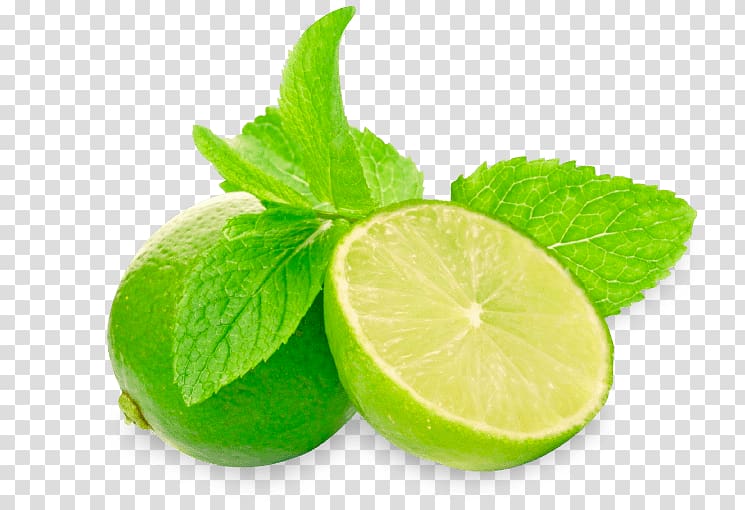 Mojito Key lime High-definition television Lemon, mojito transparent background PNG clipart