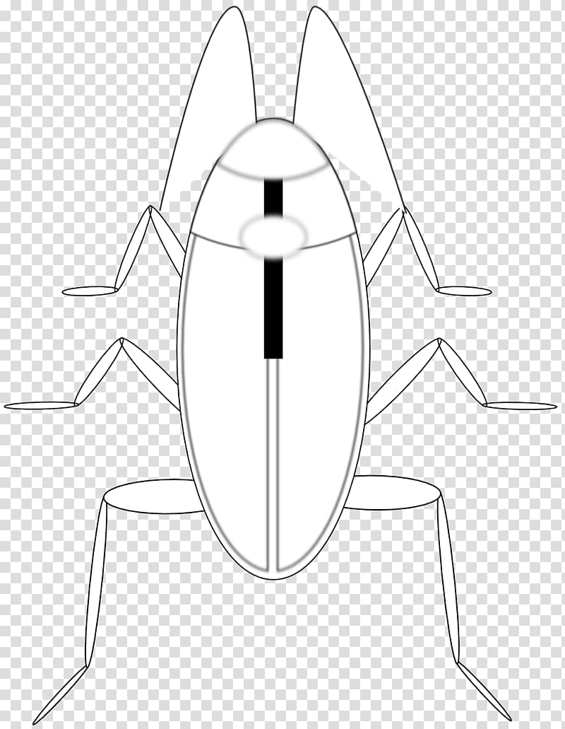 Line art Black and white Coloring book Drawing , cockroach transparent background PNG clipart