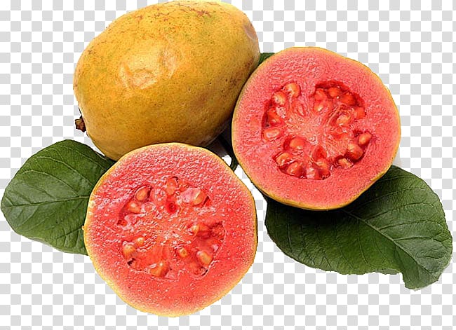 red guava transparent background PNG clipart
