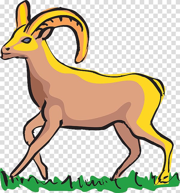 Bighorn sheep Goat , sheep transparent background PNG clipart