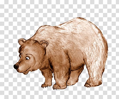 Grizzly bear Brown bear Bears Drawing, bear transparent background PNG clipart