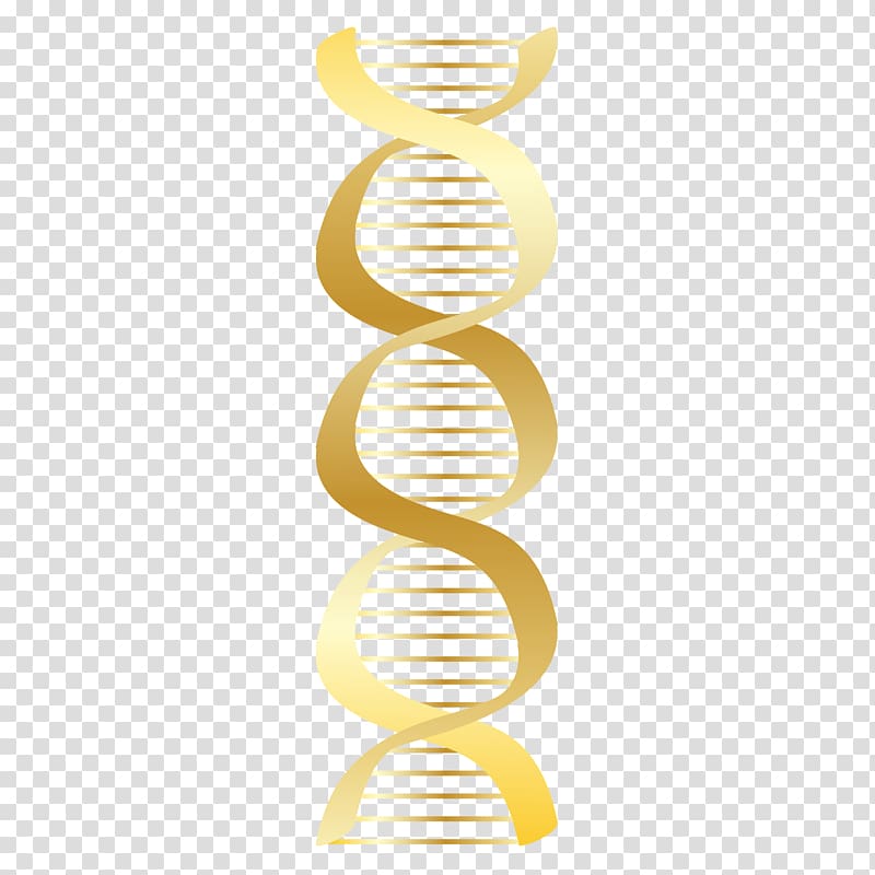 DNA Nucleic acid double helix Free content , DNA transparent background PNG clipart