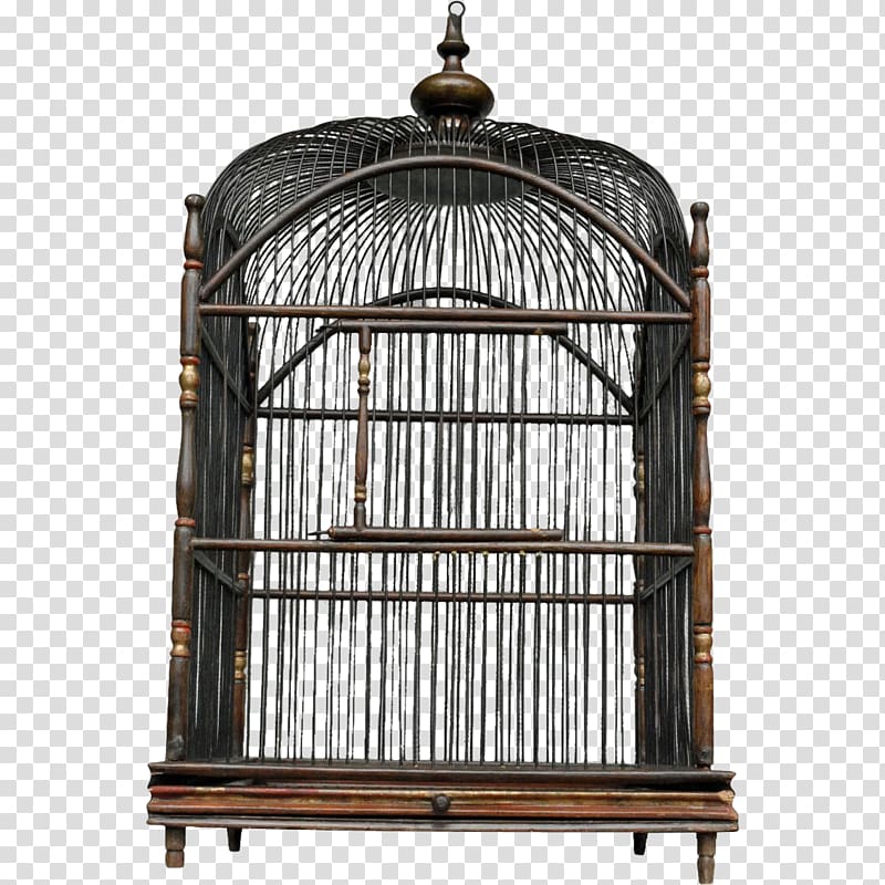 Birdcage Parrot Victorian era Cockatiel, bird cage transparent background PNG clipart
