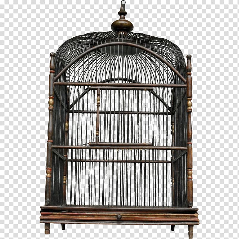 211 Victorian Bird Cage Stock Photos, High-Res Pictures, and Images - Getty  Images