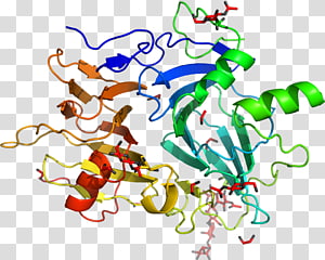 Line Point Character , line transparent background PNG clipart thumbnail