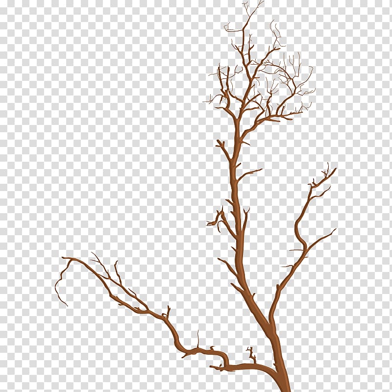 branches,dry twigs transparent background PNG clipart