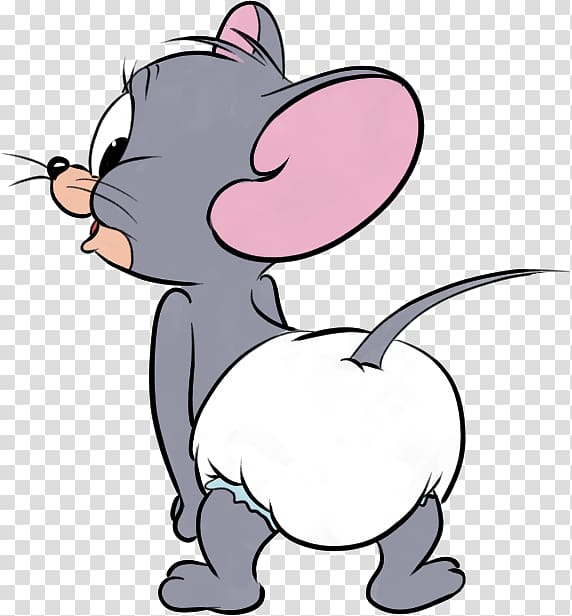 Nibbles Tom Cat Tom And Jerry Looney Tunes Character Tom