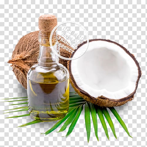 Coconut oil Date palm Food, coconut transparent background PNG clipart