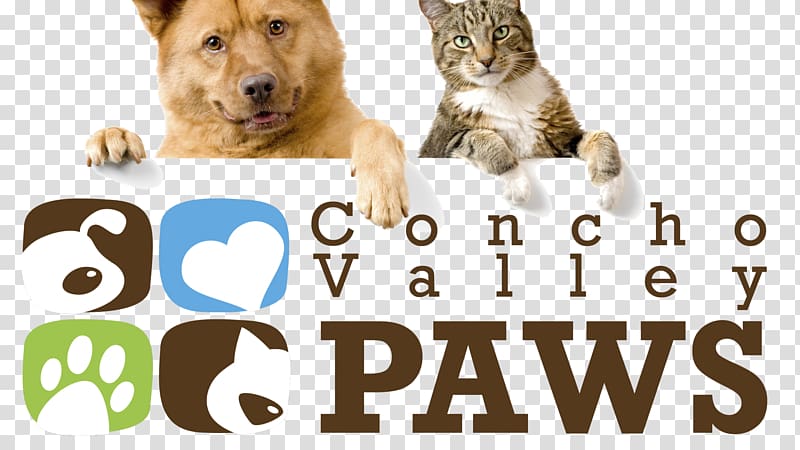 Dog–cat relationship Puppy Pet Golden Retriever, spay and neuter transparent background PNG clipart