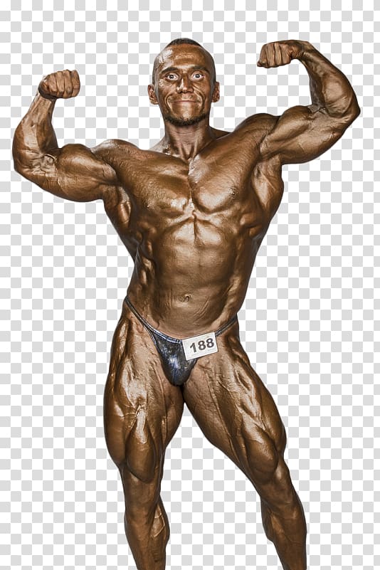 Malaysia Bodybuilding Muscle Man Arm, bodybuilding transparent background PNG clipart