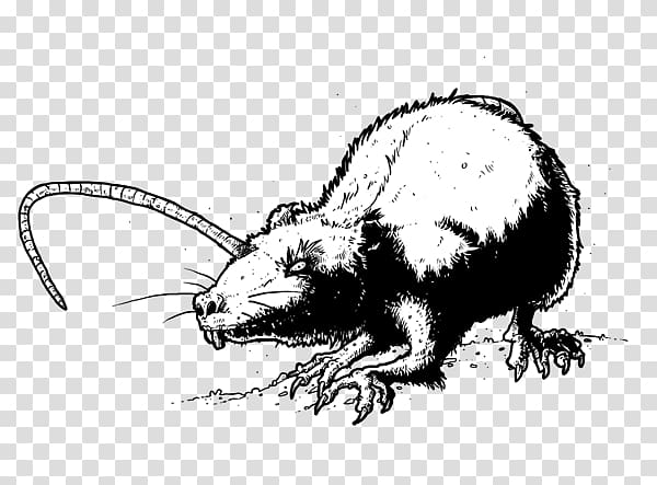 Rat Mouse Whiskers Beaver Cat, rat transparent background PNG clipart