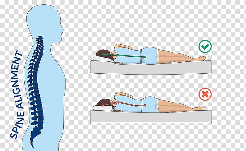 Mattress Pads Human back Sleep Tempur-Pedic, back pain transparent background PNG clipart