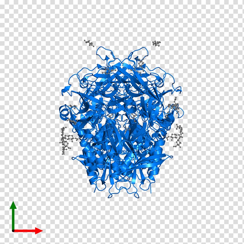 Protein Data Bank FASTA Glycogen branching enzyme Crystallographic Information File, others transparent background PNG clipart