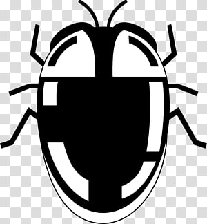 Insect White , insect transparent background PNG clipart thumbnail
