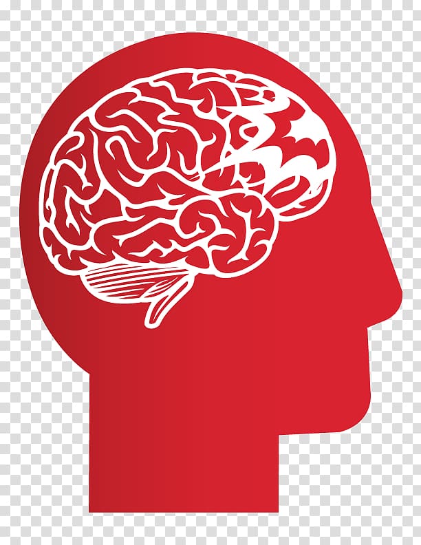 Human brain Cerebral atrophy Development of the nervous system Organ, brains transparent background PNG clipart