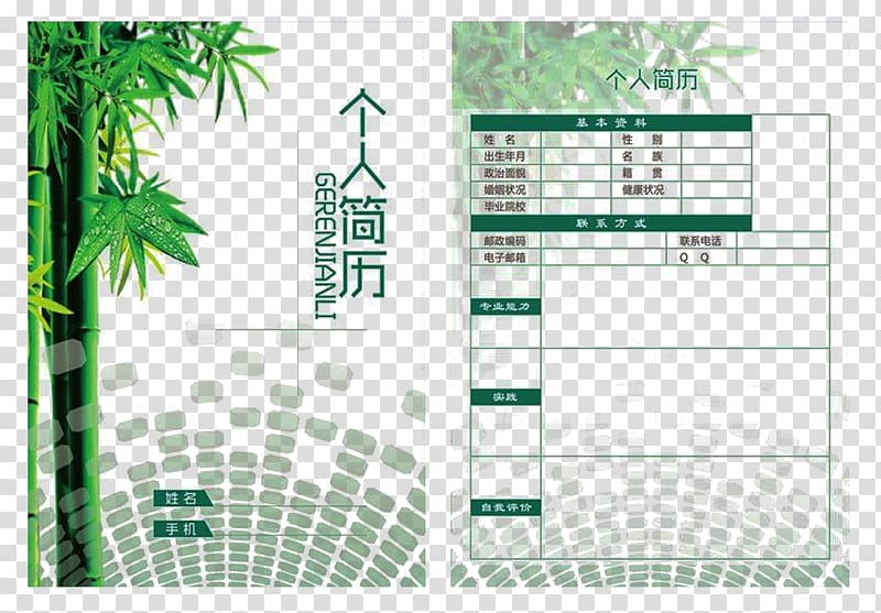 Tea Brand Graphic design Diagram, Green Personal Resume Template transparent background PNG clipart