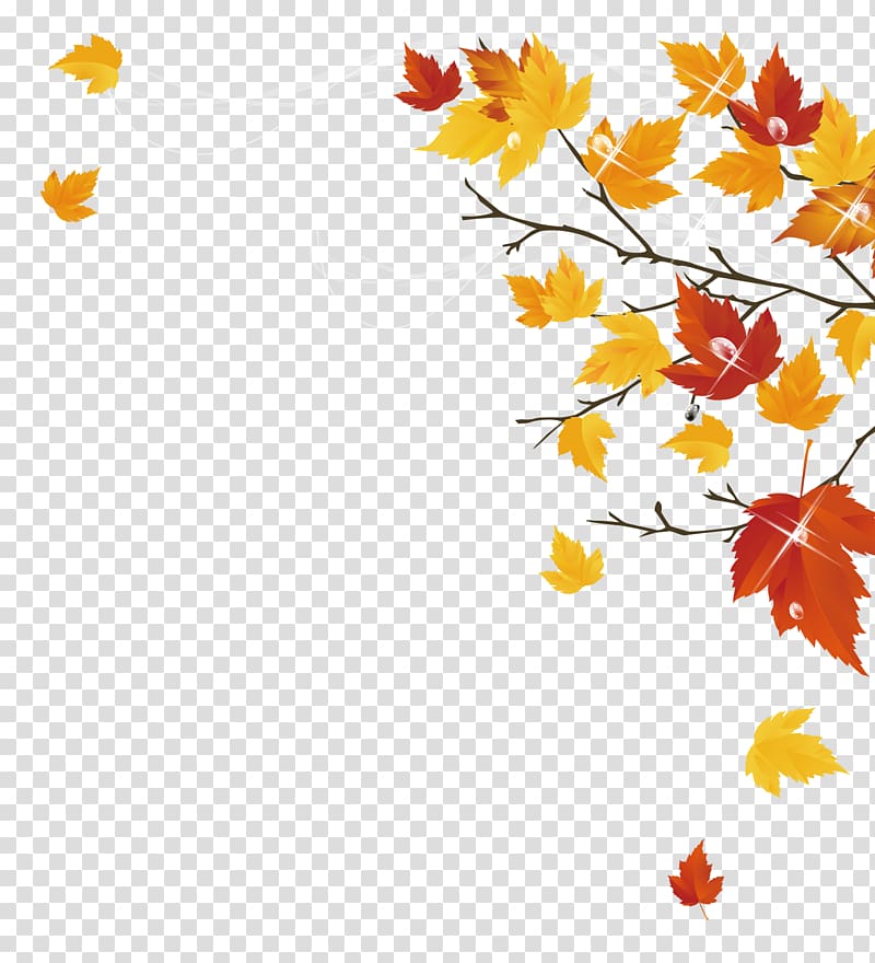 yellow and red leaves , Autumn Maple Leaf transparent background PNG clipart