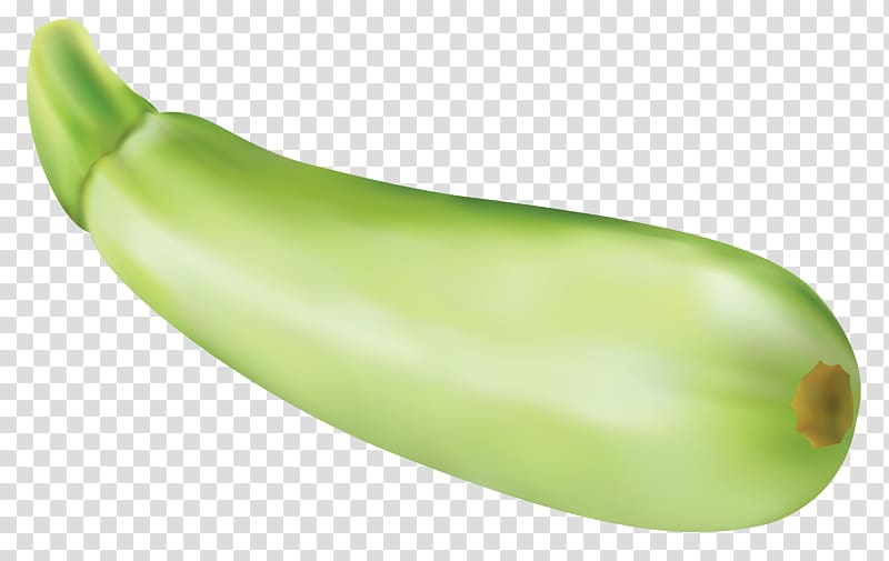 Zucchini , Zucchini transparent background PNG clipart