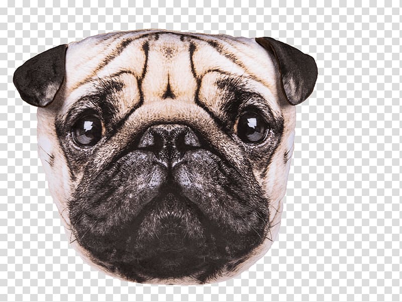 Pug Throw Pillows Cushion Beagle, pillow transparent background PNG clipart