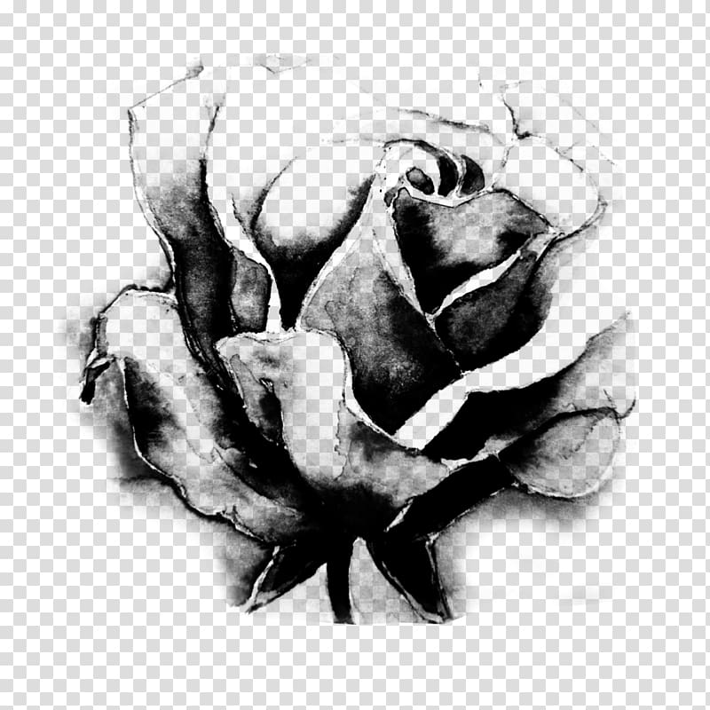 Black and white Black rose Garden roses Flower, Creation transparent background PNG clipart