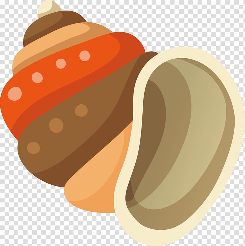 Sea snail Beach, Ice cream decoration transparent background PNG clipart