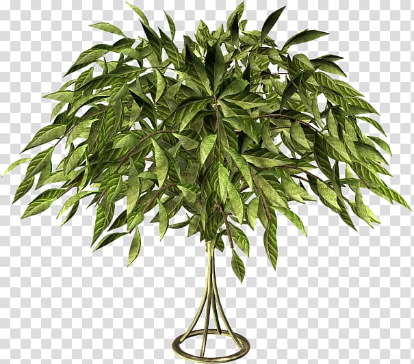 Tree Yandex Search LiveInternet Flowerpot, Plant tree transparent background PNG clipart