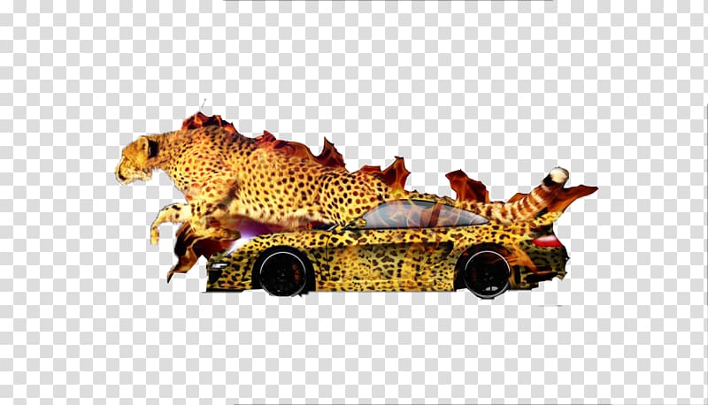 Wildlife, Cool leopard leopard transparent background PNG clipart
