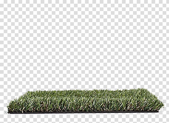 Artificial turf Lawn Floor Oryzon genomics Fireproofing, others transparent background PNG clipart