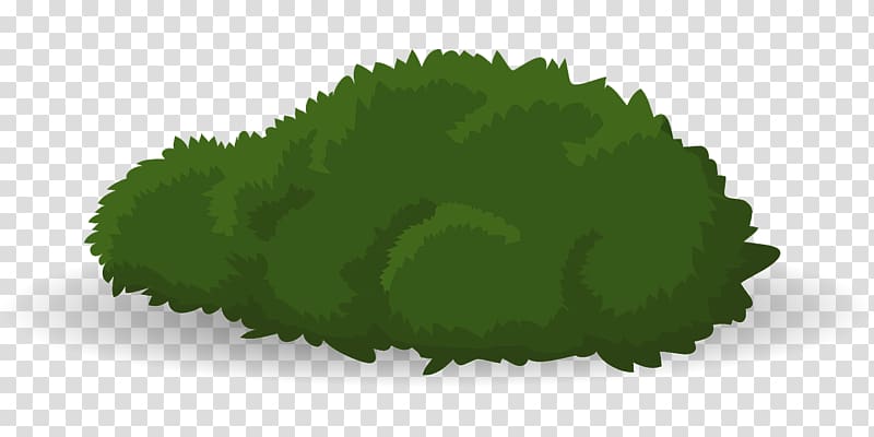 Shrub Grass Green Tree Woody plant, grass transparent background PNG clipart