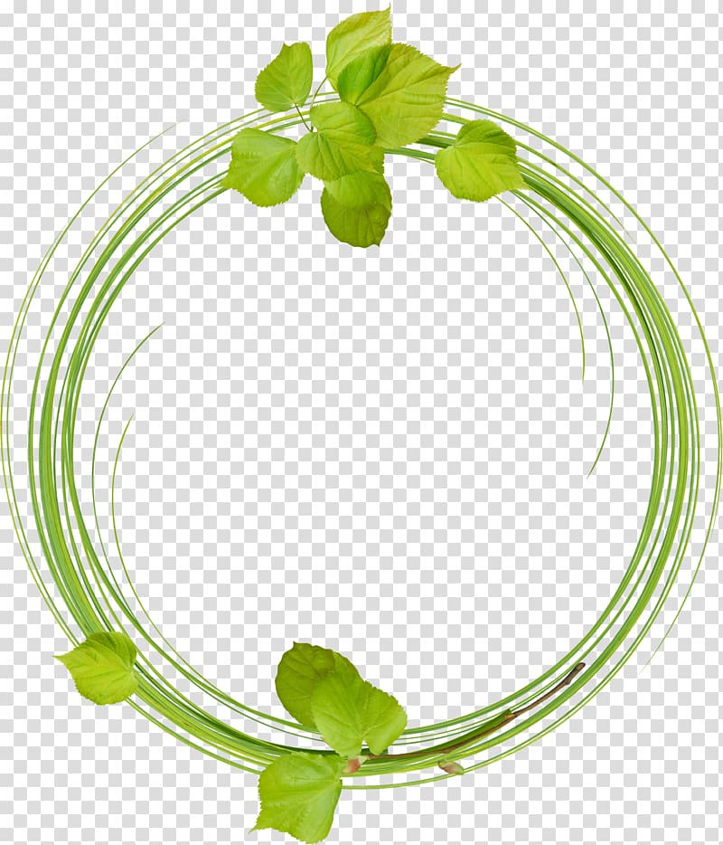 Leaves ring transparent background PNG clipart