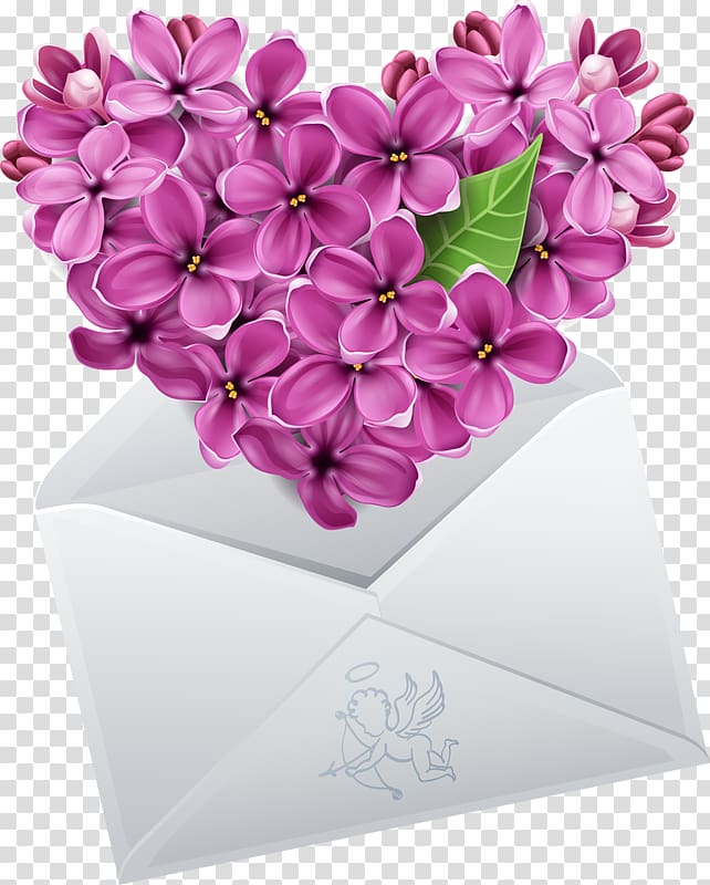 Common lilac Heart Flower , Envelope flowers transparent background PNG clipart