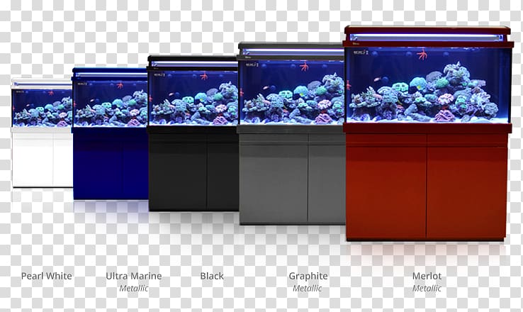 Reef aquarium Red Sea Coral reef Aquariums, Reef Aquarium transparent background PNG clipart