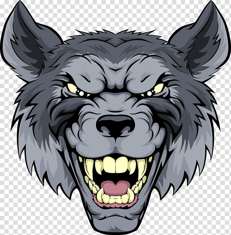 gray wolf head transparent background PNG clipart