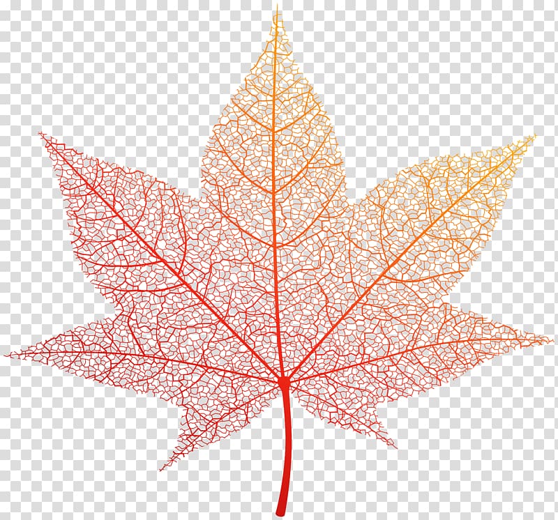 Autumn leaf color , autumn leaves transparent background PNG clipart