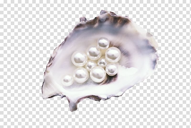 Pearl Stock Photos - Page 1 : Masterfile