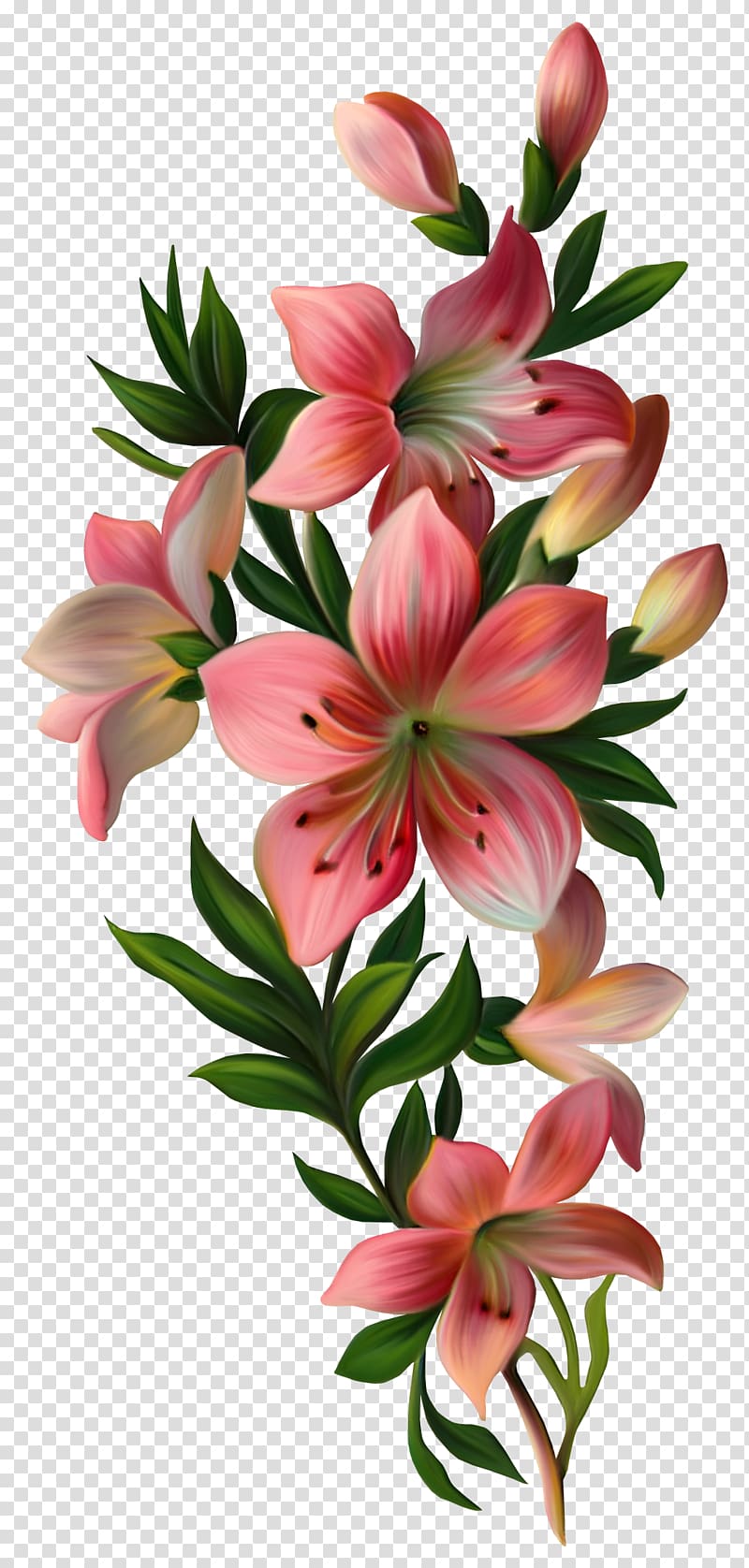 Flower Vintage clothing , lily, pink and green flowers illustration transparent background PNG clipart