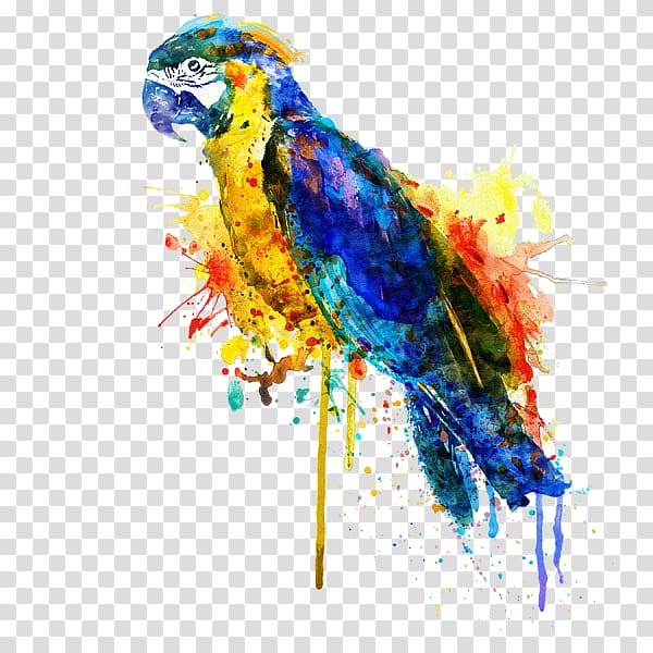 Parrot Fine art Watercolor painting Bird, parrot transparent background PNG clipart