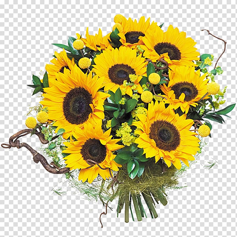 Common sunflower Flower bouquet Floral design Cut flowers, 19 mayis transparent background PNG clipart
