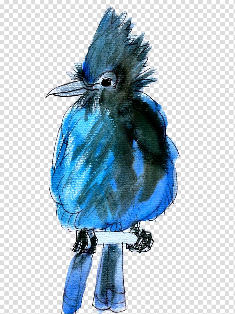 Bird Cobalt blue Electric blue Feather Beak, steller transparent background PNG clipart