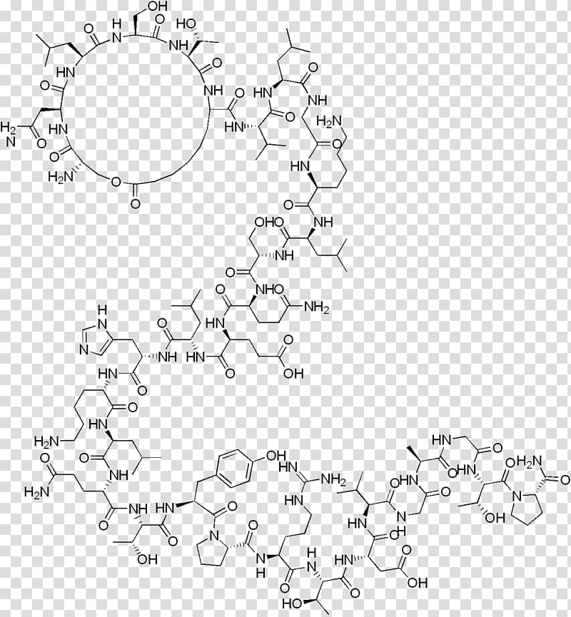 Elcatonin Calcitonin ATC code H05 Polipeptide Formula bruta, Fractional Sodium Excretion transparent background PNG clipart