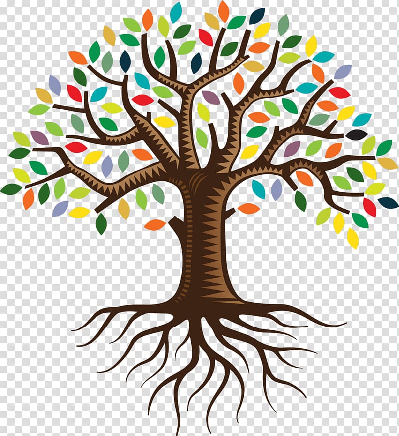 Tree Root Color , tree plan transparent background PNG clipart
