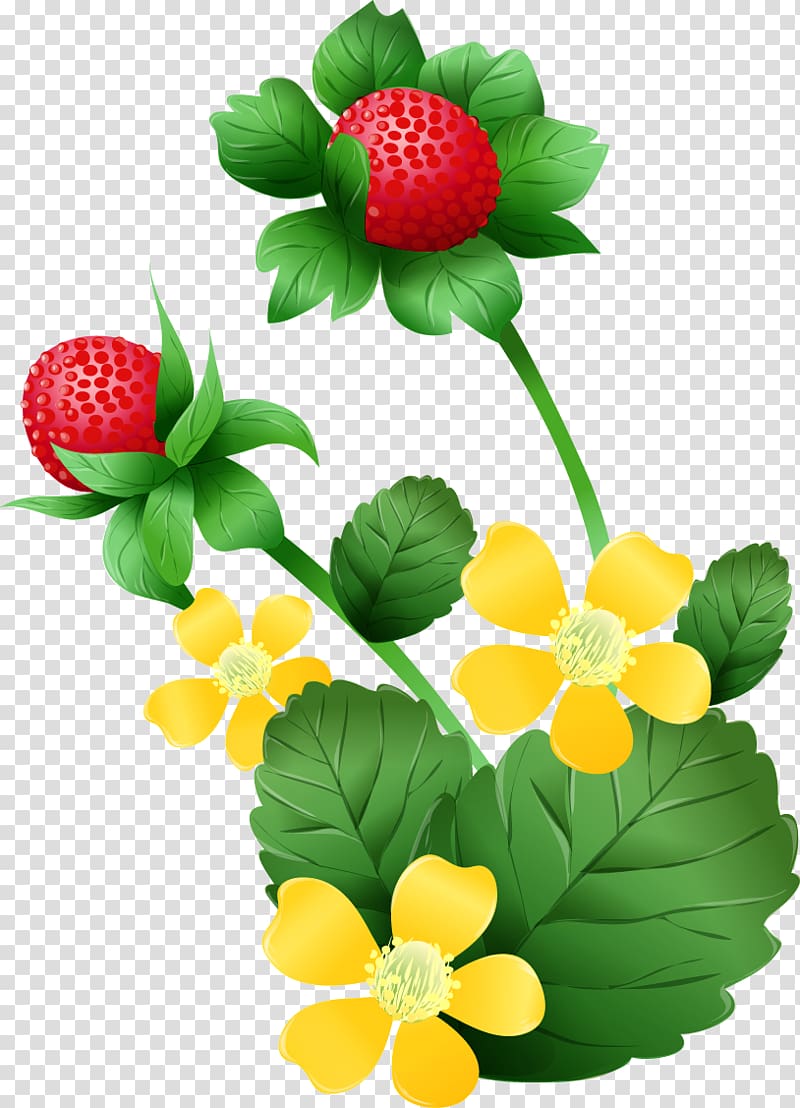 Mock strawberry , hand-painted strawberry transparent background PNG clipart