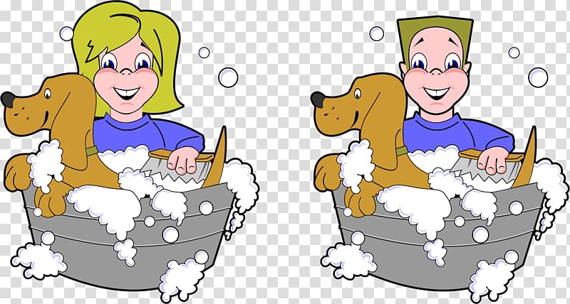 Yorkshire Terrier Dog grooming Bathing , Dog Washing transparent background PNG clipart