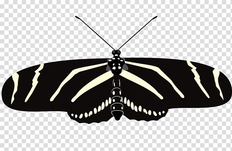 Monarch butterfly The Florida Native Butterfly Society Conservatory The Butterfly Estates Moth, butterfly transparent background PNG clipart