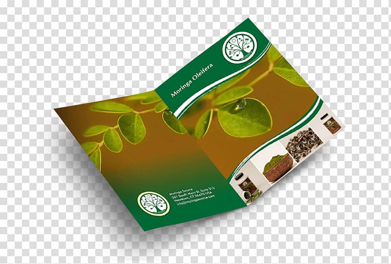 Brand, Best Brochure Design transparent background PNG clipart
